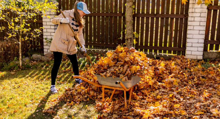 Efterårshave med græskar og gyldne blade