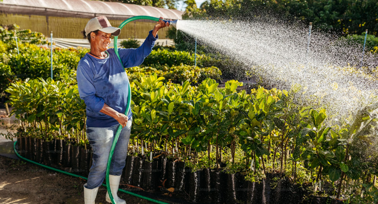 Kvalitets vandslanger til både private og erhverv