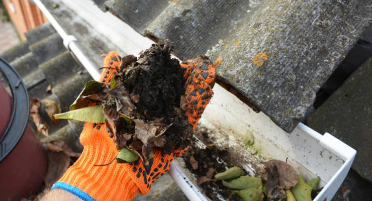 Mand i gang med at rense tagrende fri for blade og skidt