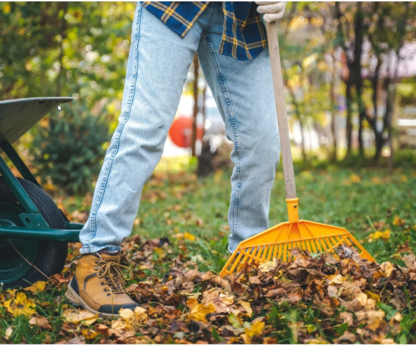 Sådan gør du haven klar til efteråret