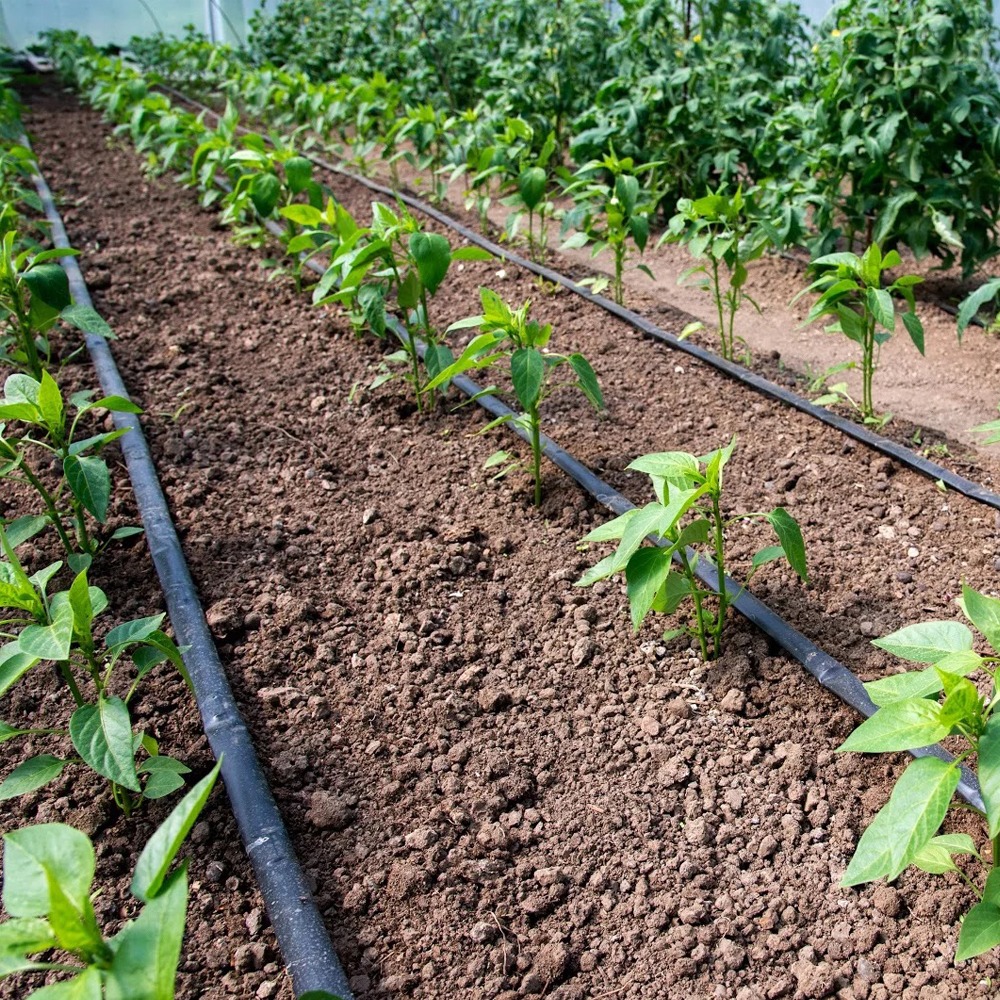 50 meter Claber drypvandingskit pakket og klar til salg på Vandslanger.dk