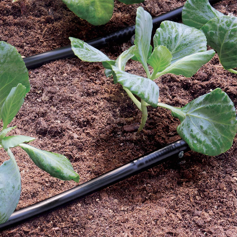 25m drypslange, 1/4" rør, med interne labyrintdryppere, lavt vandforbrug.