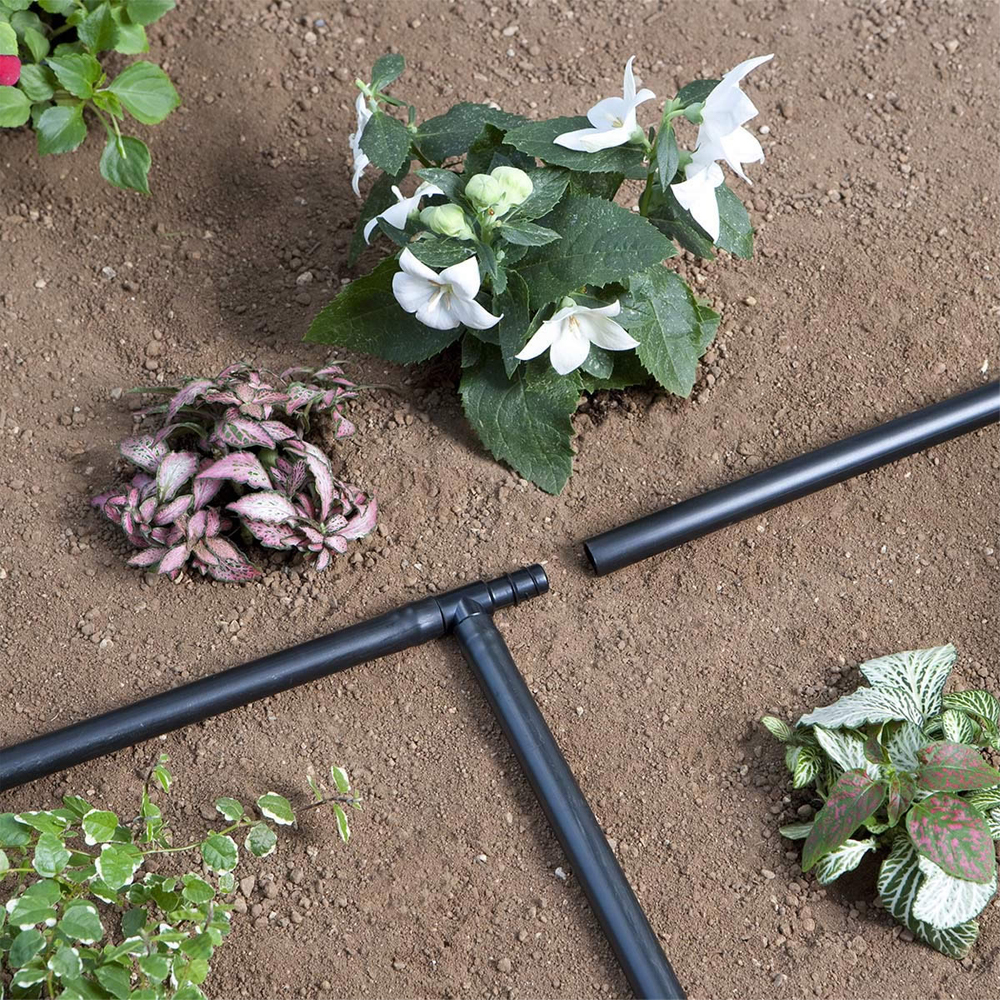 50m hovedslange, 1/2" polyethylen, algeresistent, til hovedlinje i vandingssystem.